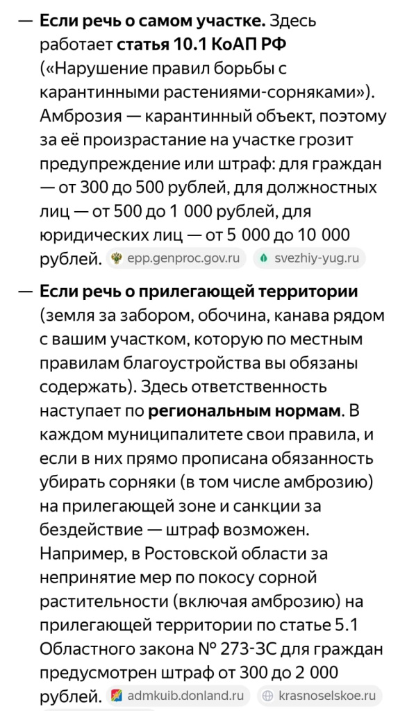 WhatsApp Image 2026-08-28 at 15.03.03.jpeg